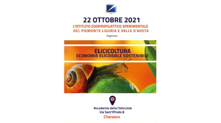 Elicicoltura economia elicoidale sostenibile 