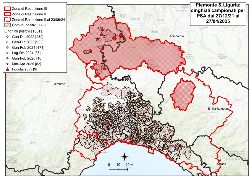 I CONTROLLI PER LA PSA – QUATTRO NUOVI POSITIVI TRA I CINGHIALI, UNO IN PIEMONTE, TRE IN LIGURIA