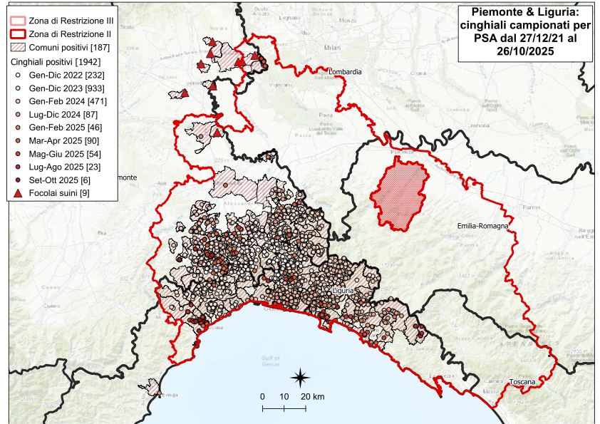I CONTROLLI PER LA PSA – NESSUN NUOVO POSITIVO TRA I CINGHIALI IN PIEMONTE E LIGURIA