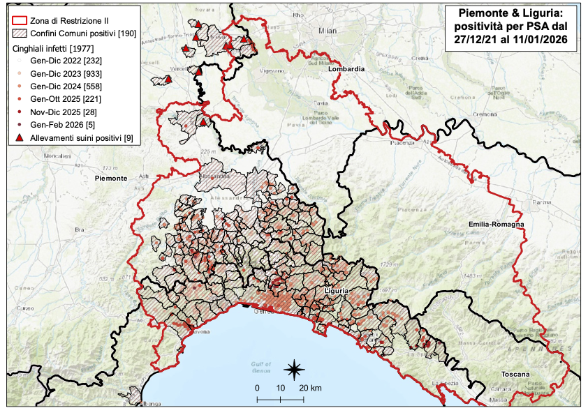 mappa esiti peste suina africana al 11/01/2026