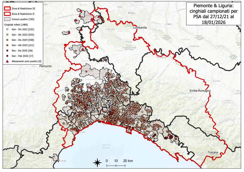 Immagine I CONTROLLI PER LA PSA – IN LIGURIA DODICI NUOVI POSITIVI TRA I CINGHIALI, NESSUNO IN PIEMONTE 