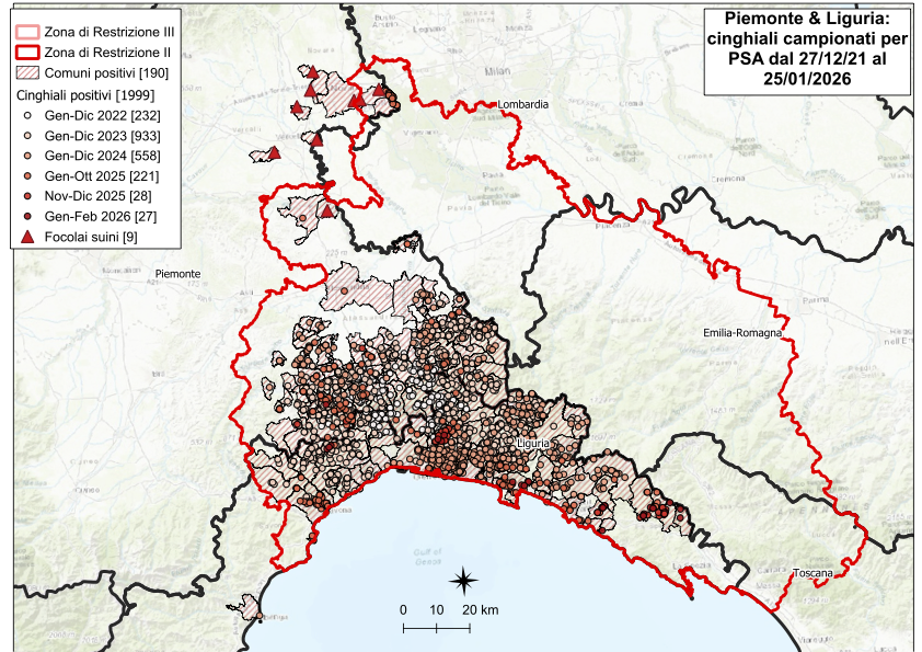 Immagine I CONTROLLI PER LA PSA – IN LIGURIA DIECI NUOVI POSITIVI TRA I CINGHIALI, NESSUNO IN PIEMONTE 
