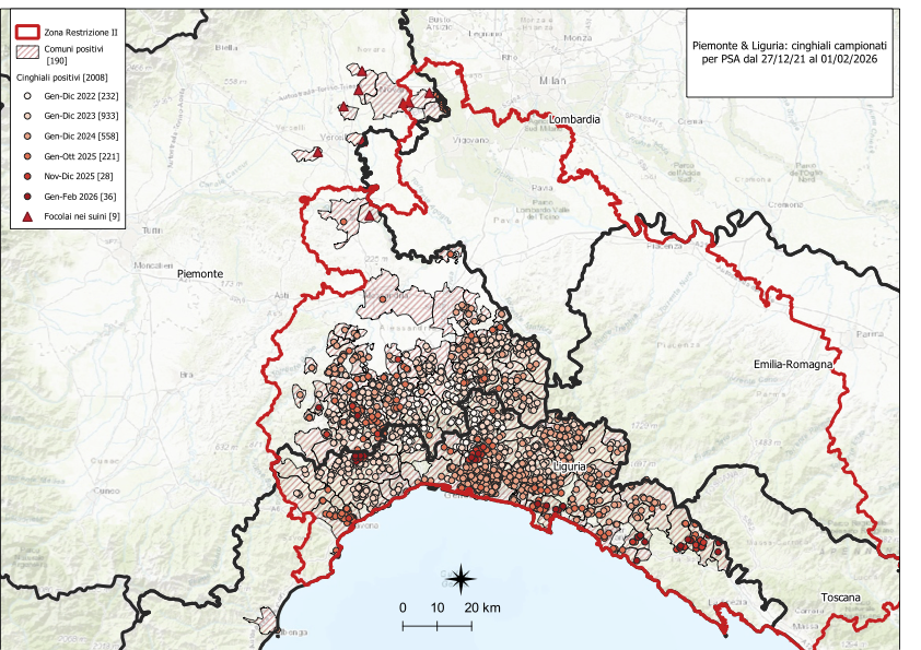 Immagine I CONTROLLI PER LA PSA – IN LIGURIA OTTO NUOVI POSITIVI TRA I CINGHIALI, UNO IN PIEMONTE 