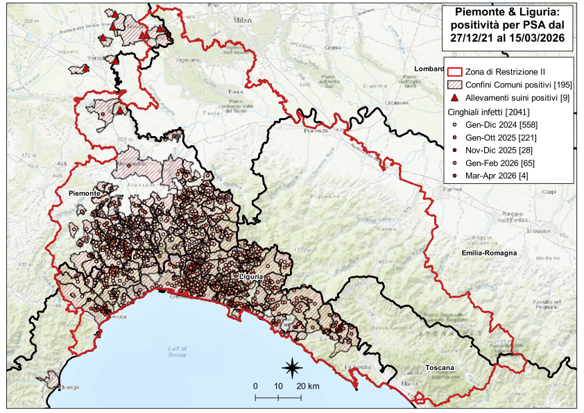 Immagine I CONTROLLI PER LA PSA – IN LIGURIA DUE NUOVI POSITIVI TRA I CINGHIALI, NESSUNO IN PIEMONTE 