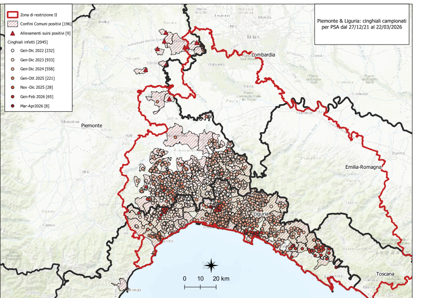 Immagine I CONTROLLI PER LA PSA – IN LIGURIA QUATTRO NUOVI POSITIVI TRA I CINGHIALI, NESSUNO IN PIEMONTE 