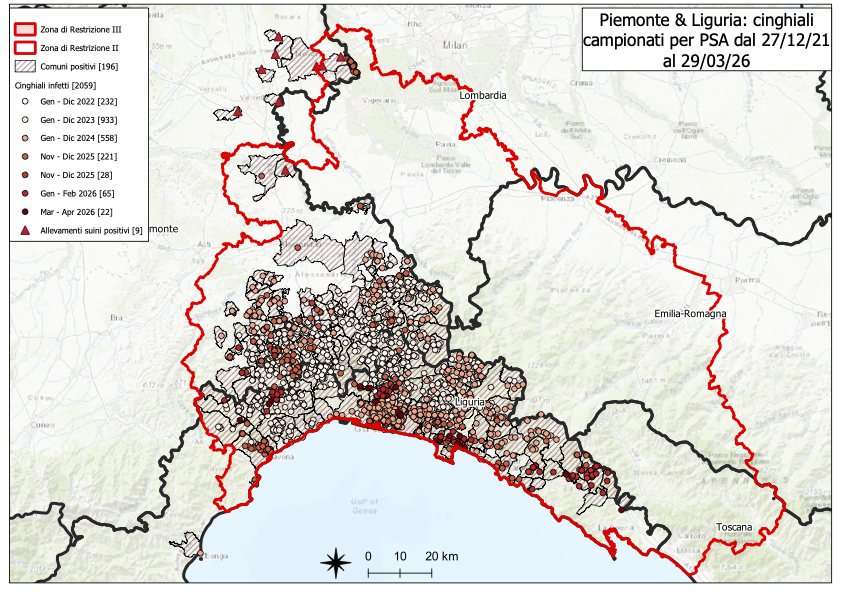 Immagine I CONTROLLI PER LA PSA – IN LIGURIA QUATTORDICI NUOVI POSITIVI TRA I CINGHIALI, NESSUNO IN PIEMONTE 