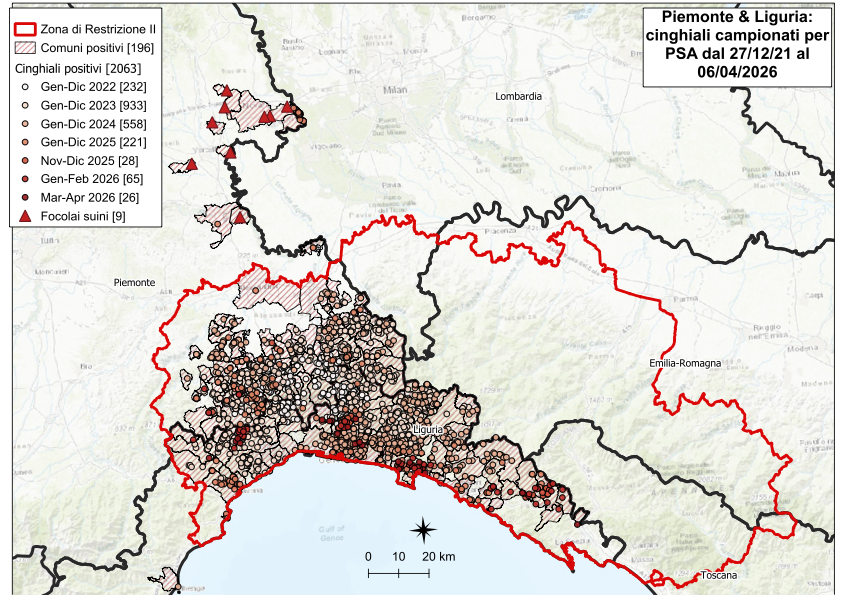Immagine I CONTROLLI PER LA PSA – IN LIGURIA QUATTRO NUOVI POSITIVI TRA I CINGHIALI, NESSUNO IN PIEMONTE 