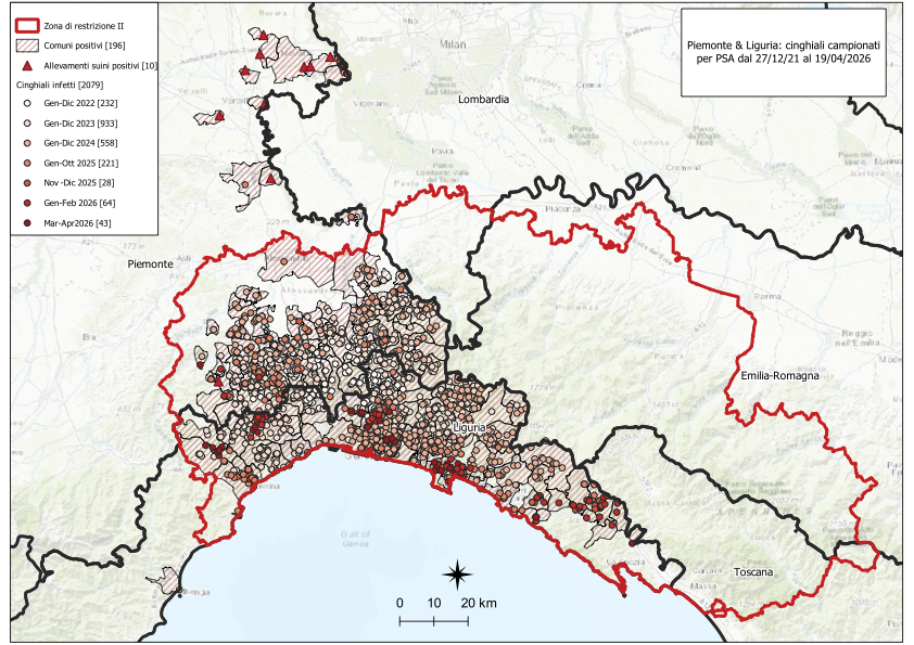 Immagine I CONTROLLI PER LA PSA – IN LIGURIA TRE NUOVI POSITIVI TRA I CINGHIALI, UNO IN PIEMONTE - UN NUOVO FOCOLAIO IN ALLEVAMENTO SUINICOLO PIEMONTESE 