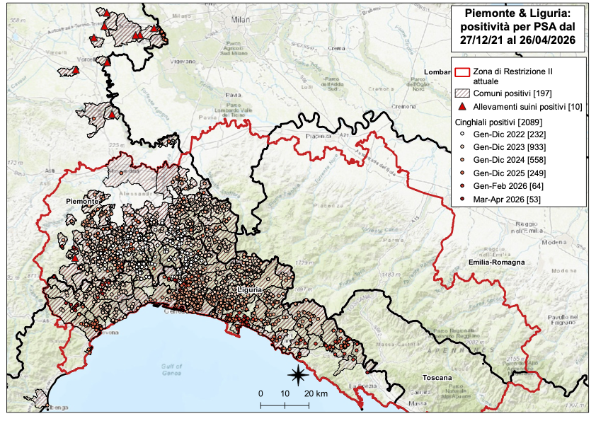 Immagine I CONTROLLI PER LA PSA – IN LIGURIA QUATTRO NUOVI POSITIVI TRA I CINGHIALI, SEI IN PIEMONTE - NESSUN NUOVO FOCOLAIO IN ALLEVAMENTO SUINICOLO PIEMONTESE 