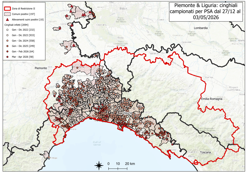 Immagine I CONTROLLI PER LA PSA – IN LIGURIA CINQUE NUOVI POSITIVI TRA I CINGHIALI, NESSUNO IN PIEMONTE - NESSUN NUOVO FOCOLAIO IN ALLEVAMENTO SUINICOLO PIEMONTESE 
