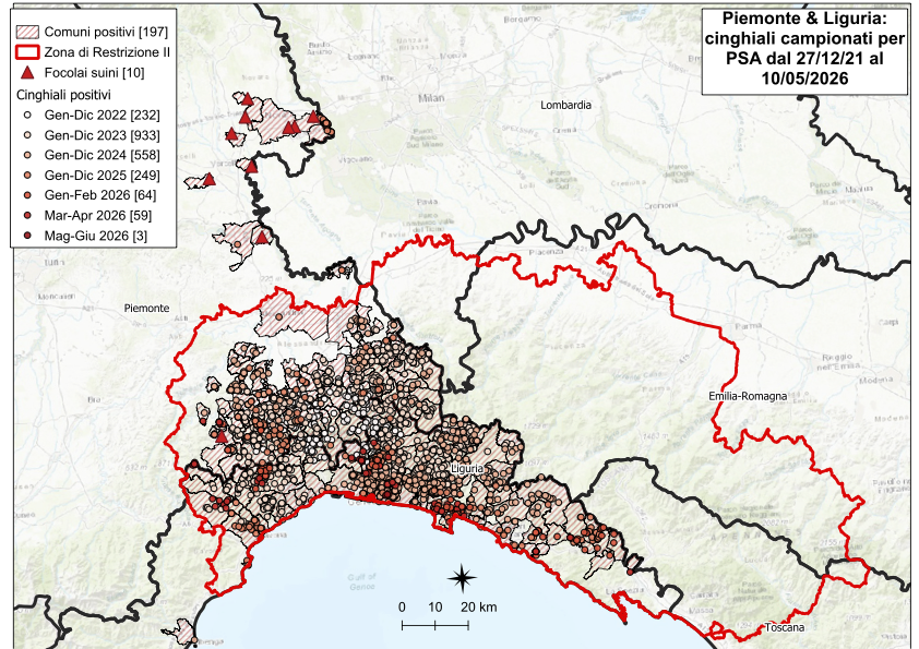 Immagine I CONTROLLI PER LA PSA – IN LIGURIA QUATTRO NUOVI POSITIVI TRA I CINGHIALI, NESSUNO IN PIEMONTE 