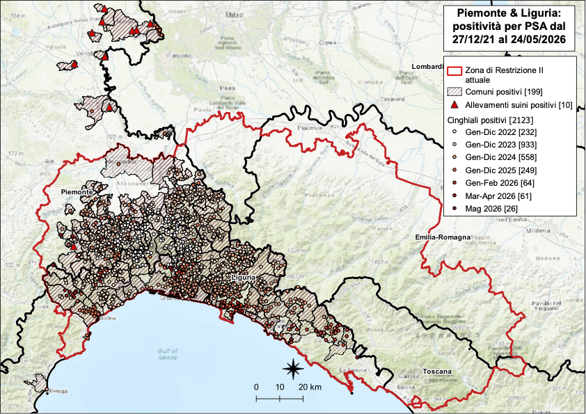 Immagine I CONTROLLI PER LA PSA – IN LIGURIA NOVE NUOVI POSITIVI TRA I CINGHIALI, TRE IN PIEMONTE 