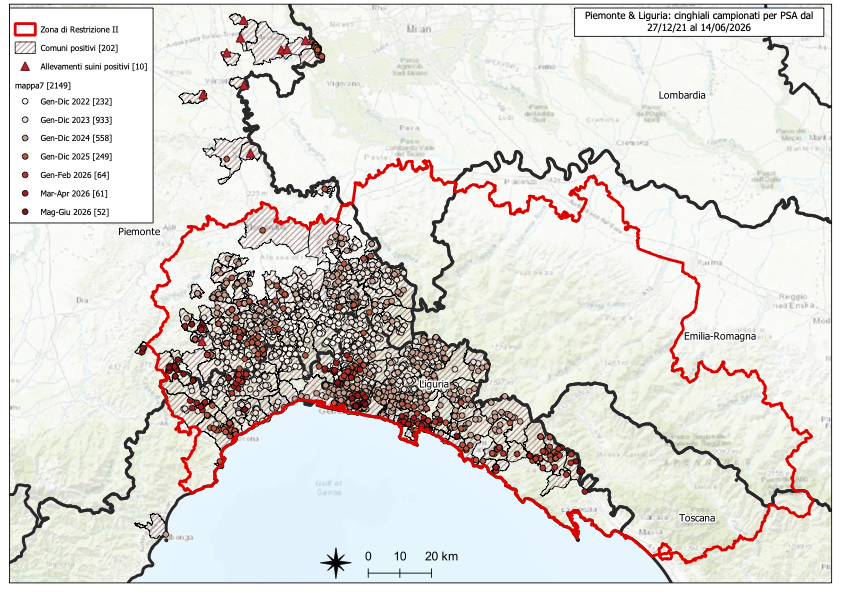 Immagine I CONTROLLI PER LA PSA – IN LIGURIA DUE NUOVI POSITIVI TRA I CINGHIALI, DUE IN PIEMONTE 