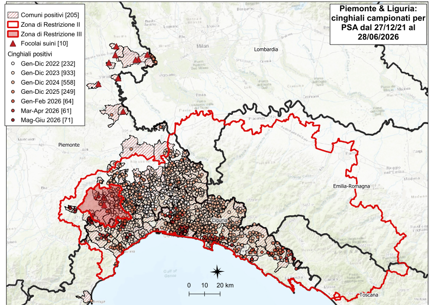 Immagine I CONTROLLI PER LA PSA – IN LIGURIA SEI NUOVI POSITIVI TRA I CINGHIALI, CINQUE IN PIEMONTE 
