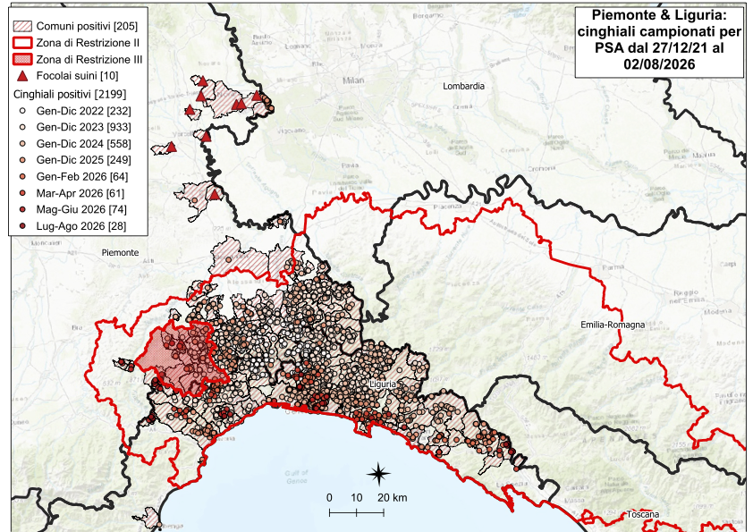 Immagine I CONTROLLI PER LA PSA – IN LIGURIA TRE NUOVI POSITIVI TRA I CINGHIALI, DUE IN PIEMONTE 