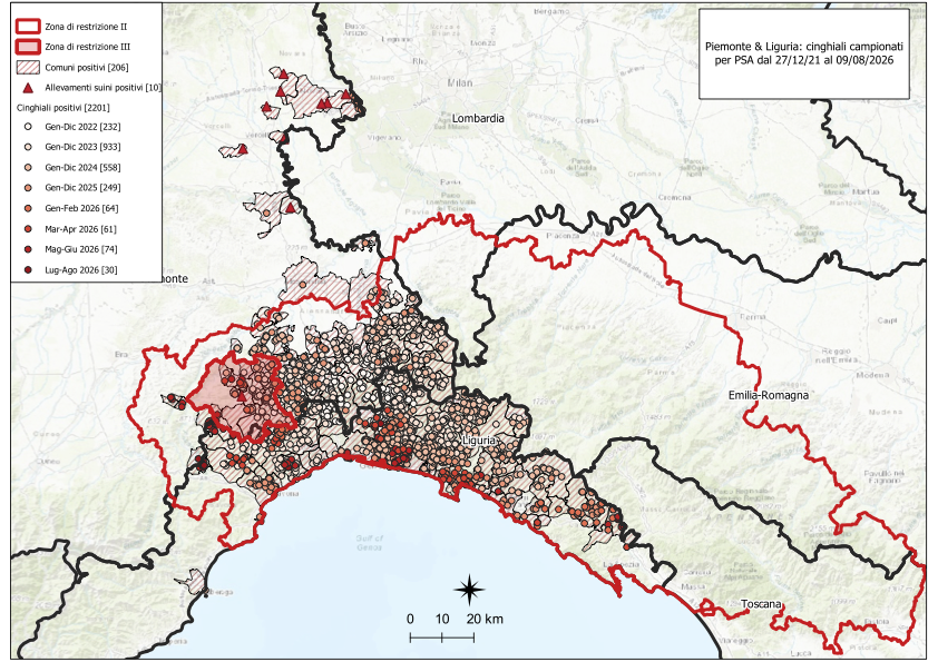 Immagine I CONTROLLI PER LA PSA – IN LIGURIA UN NUOVO POSITIVO TRA I CINGHIALI, UNO ANCHE IN PIEMONTE 