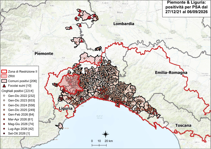 Immagine I CONTROLLI PER LA PSA – IN PIEMONTE CINQUE POSITIVI TRA I CINGHIALI, NESSUNO IN LIGURIA 