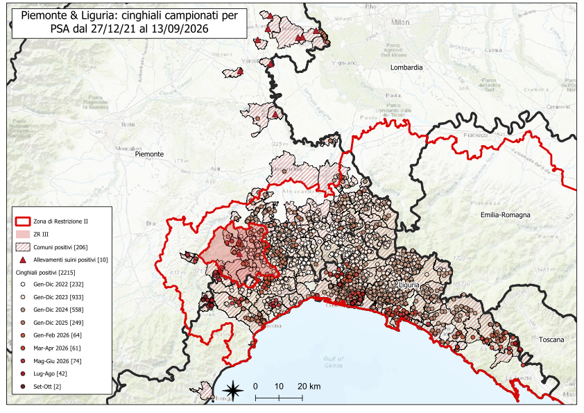 Immagine I CONTROLLI PER LA PSA – IN PIEMONTE UN NUOVO POSITIVO TRA I CINGHIALI, NESSUNO IN LIGURIA 