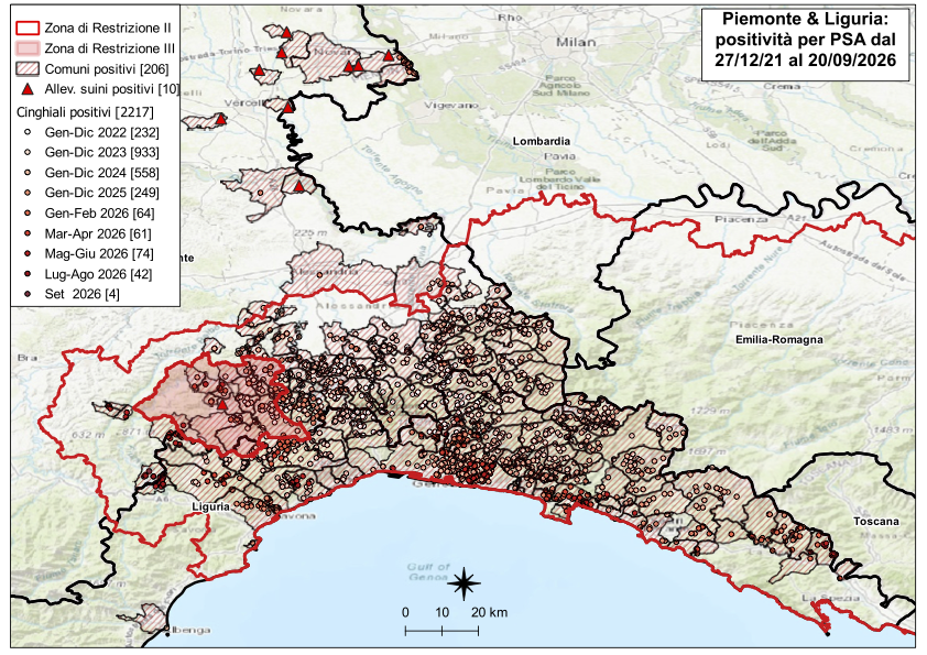 Immagine I CONTROLLI PER LA PSA – IN PIEMONTE UN NUOVO POSITIVO TRA I CINGHIALI, ANCHE UNO IN LIGURIA 