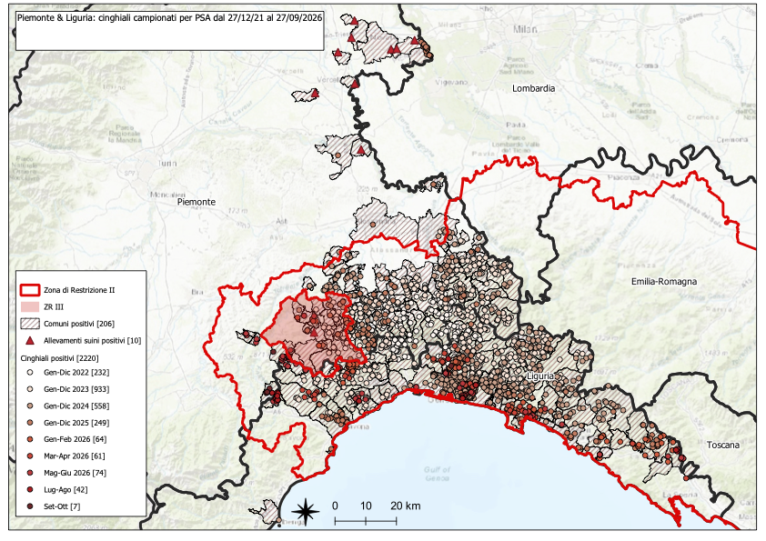 Immagine I CONTROLLI PER LA PSA – IN PIEMONTE UN NUOVO POSITIVO TRA I CINGHIALI, DUE IN LIGURIA 