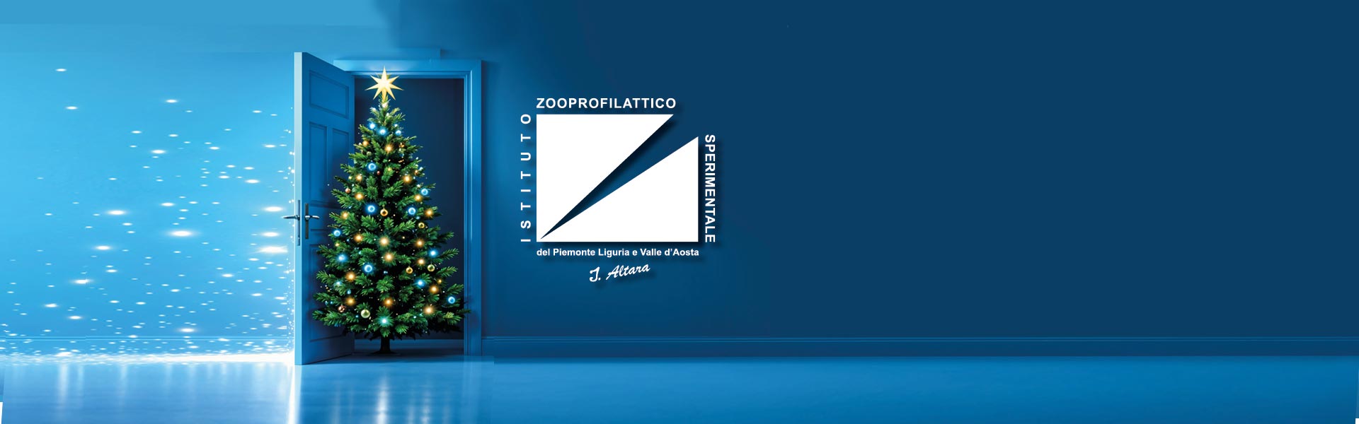 banner natale