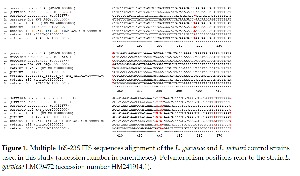 img Supertrout article's:  16S-23S rRNA Internal Transcribed Spacer Region (ITS) Sequencing: A Potential Molecular Diagnostic Tool for Differentiating Lactococcus garvieae and Lactococcus petauri.