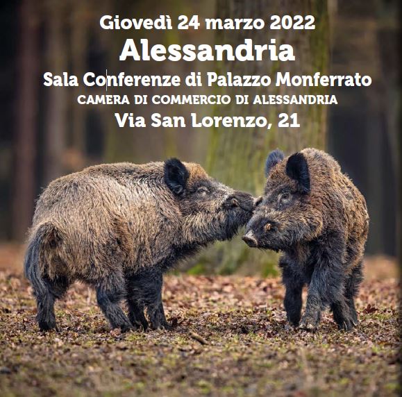 img PESTE SUINA AFRICANA IN LIGURIA E PIEMONTE: UN'EMERGENZA NAZIONALE