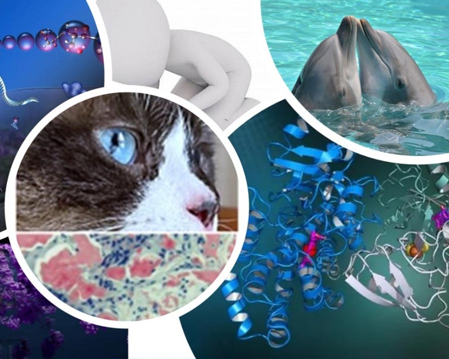 locandina dell'evento