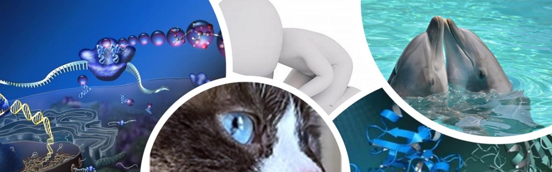 locandina dell'evento