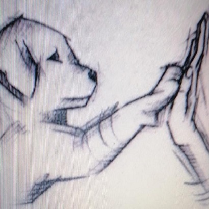 oncologia comparata: tumore mammario