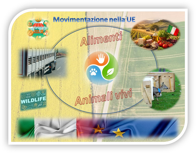 Immagine GESTIONE DELLE MOVIMENTAZIONI DEGLI ANIMALI SELVATICI VIVI e DEI PRODOTTI DELLA FILIERA AGROALIMENTARE IN OTTICA ONE HEALTH 