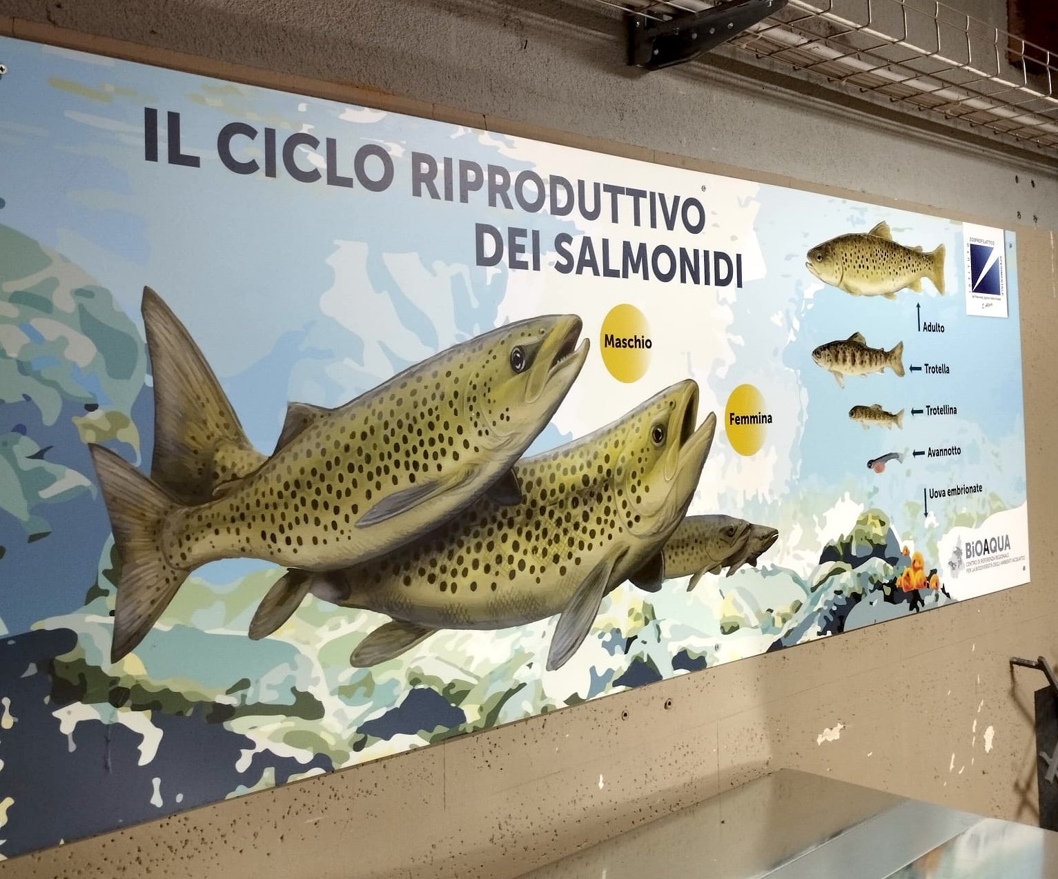 Immagine LA RICERCA SCIENTIFICA INCONTRA I CITTADINI:  AD AVIGLIANA PORTE APERTE A 