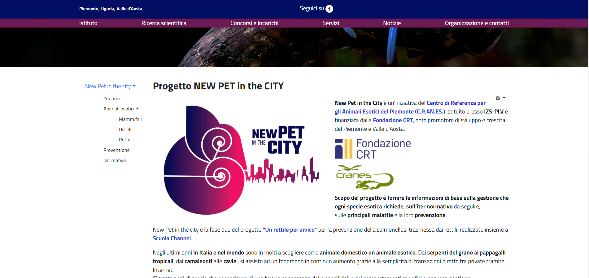HomePage New Pet in The City