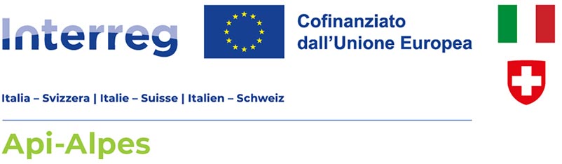 Logo Interreg Api Alpes