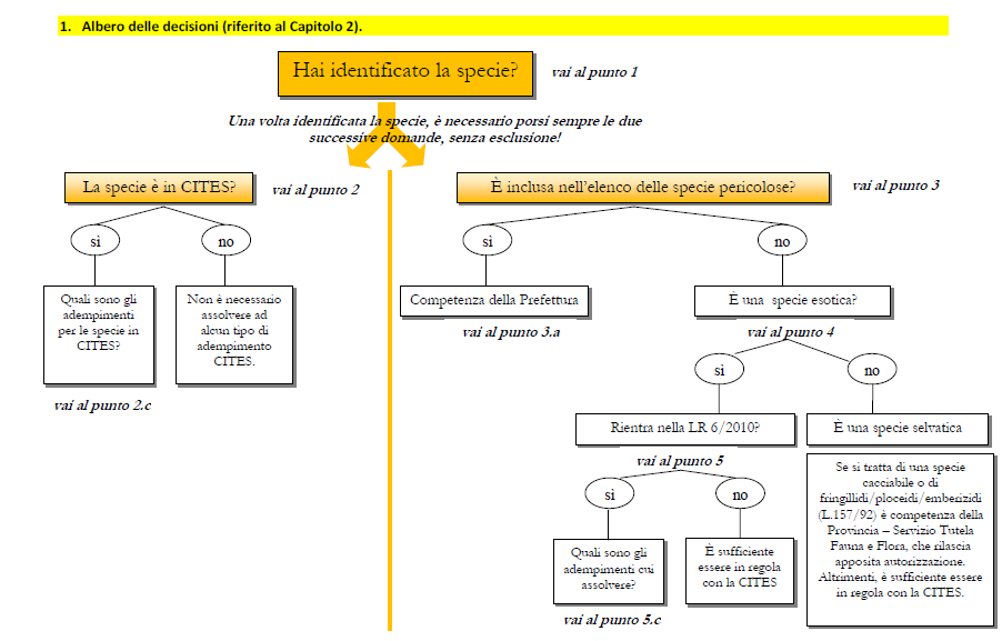 Immagine con rappresentazione dell'albero delle decisioni