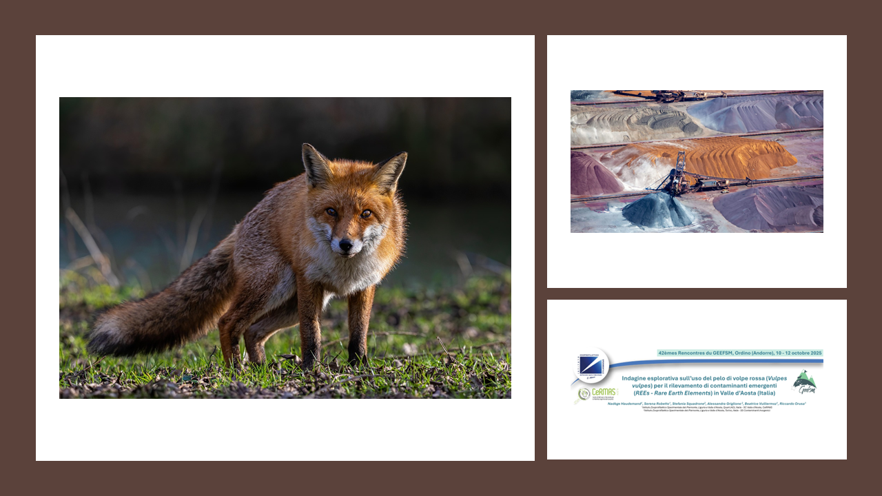 IL PELO DELLA VOLPE, MATRICE EFFICACE E NON INVASIVA PER IL MONITORAGGIO DEI LANTANIDI