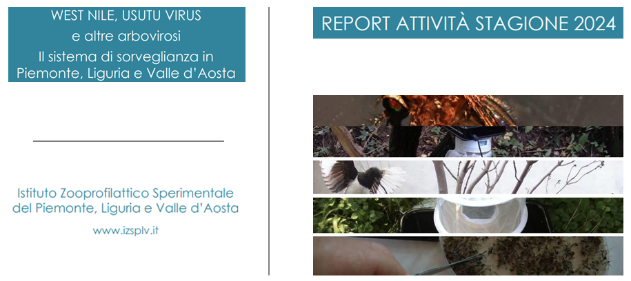 La sorveglianza delle Arbovirosi, l'attività 2024 dell'IZSPLV