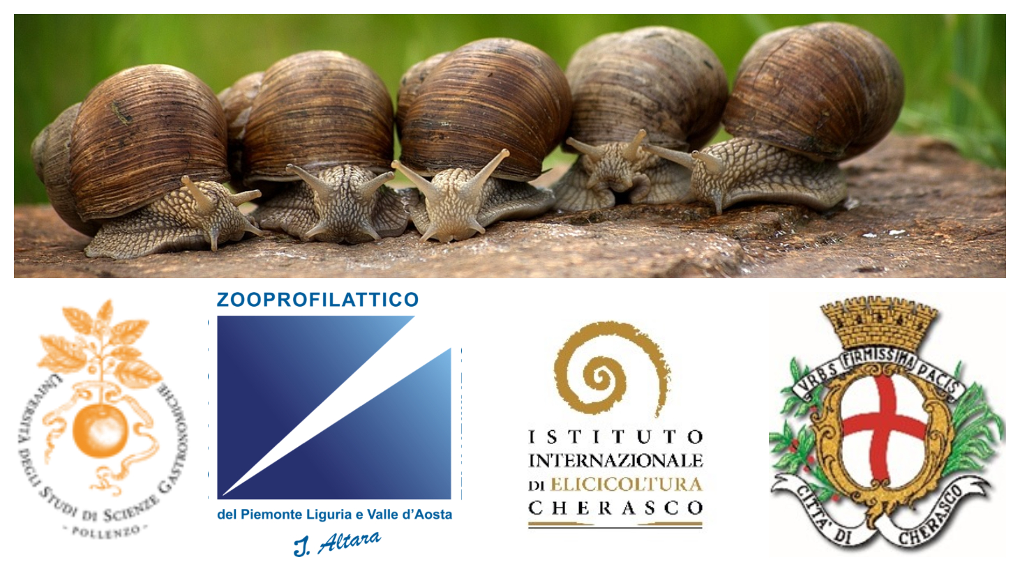 img L’UTILIZZO DELLA BAVA DELLE CHIOCCIOLE METODO CHERASCO  IN ZOOTECNIA E AGRICOLTURA