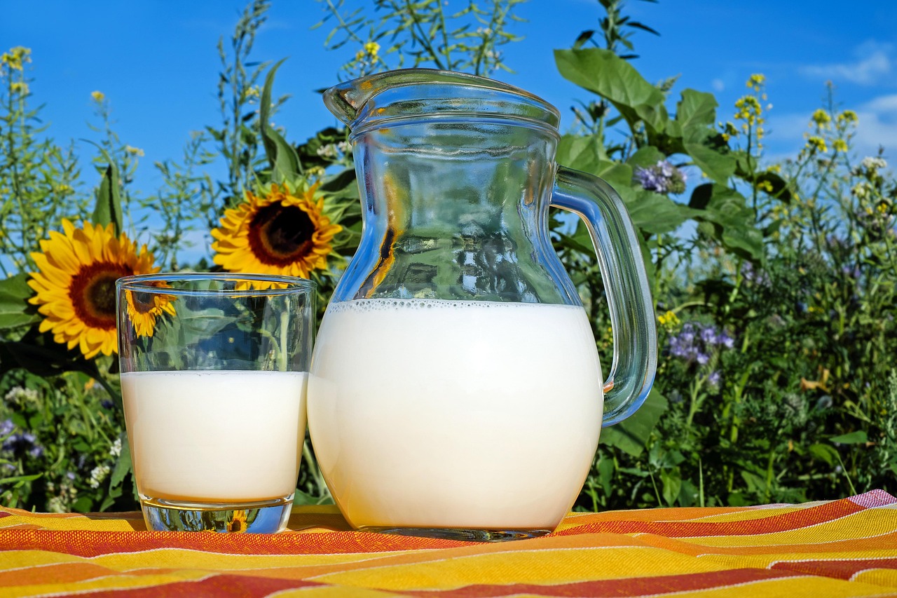 Immagine TORNA IL PROGETTO “LATTE NELLE SCUOLE”, L’IZSPLV IN PRIMA LINEA PER LA SICUREZZA ALIMENTARE 