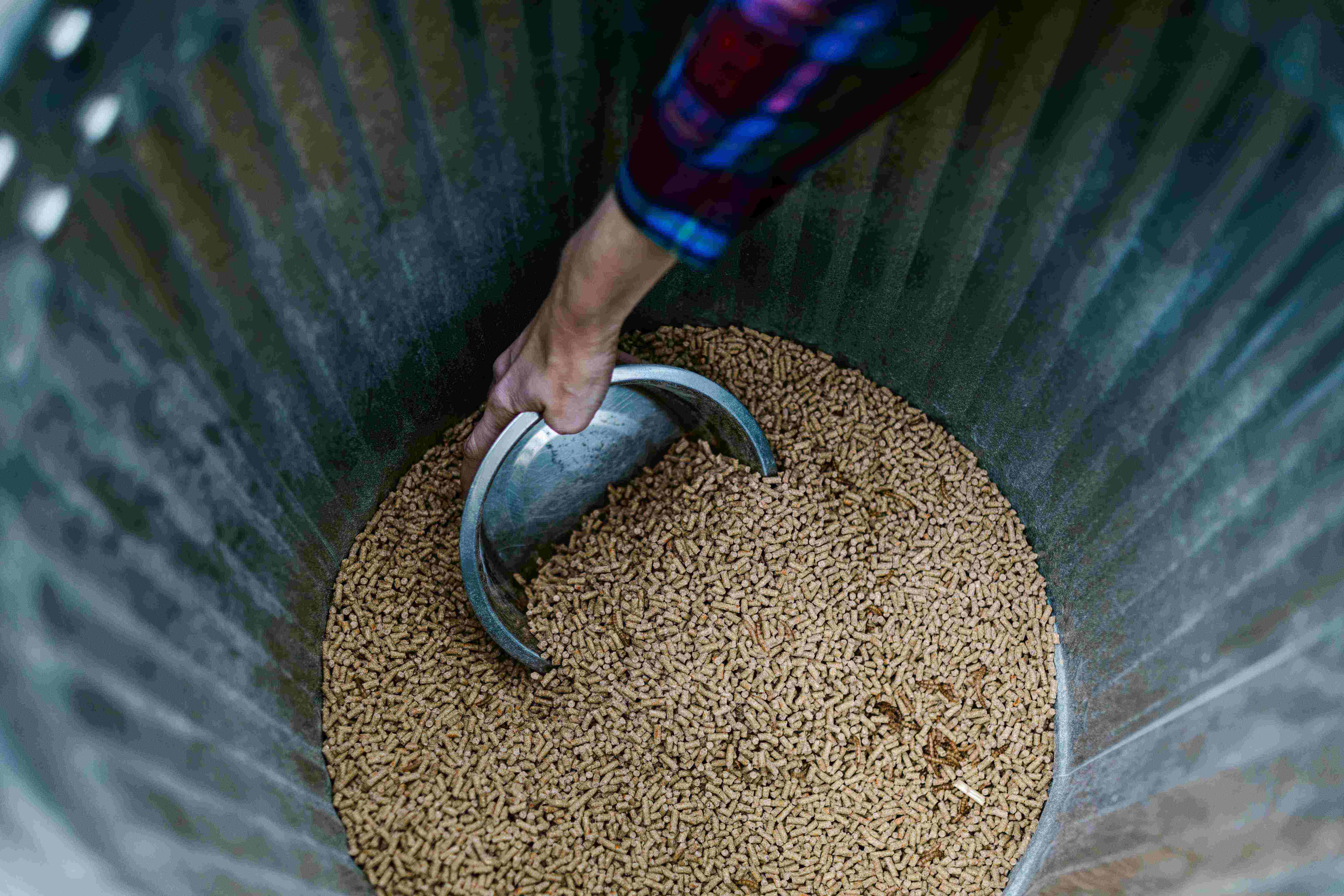 Immagine L’IZSPLV DESIGNATO CENTRO DI REFERENZA FAO PER LA NUTRIZIONE E L’ALIMENTAZIONE ANIMALE 