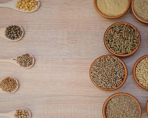 img FEED 2025, innovare per rendere le produzioni di mangimi sostenibili