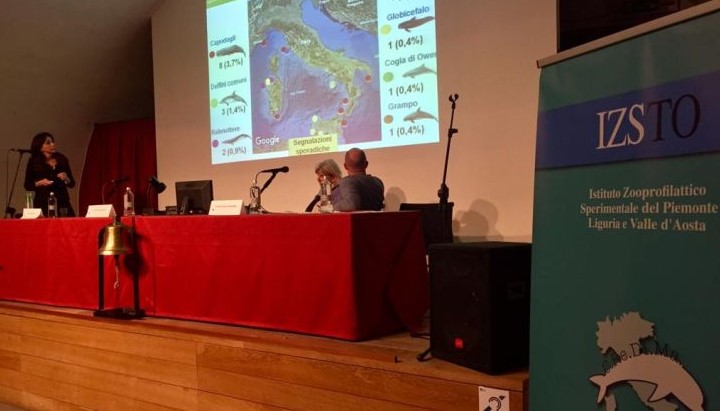 CONVEGNO NAZIONALE: "Rischi emergenti per la salute dei cetacei in Italia"