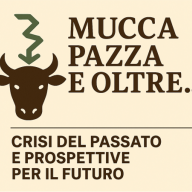 XXIV CONVEGNO DEGLI IIZZSS SULLE ENCEFALOPATIE SPONGIFORMI TRASMISSIBILI (EST)